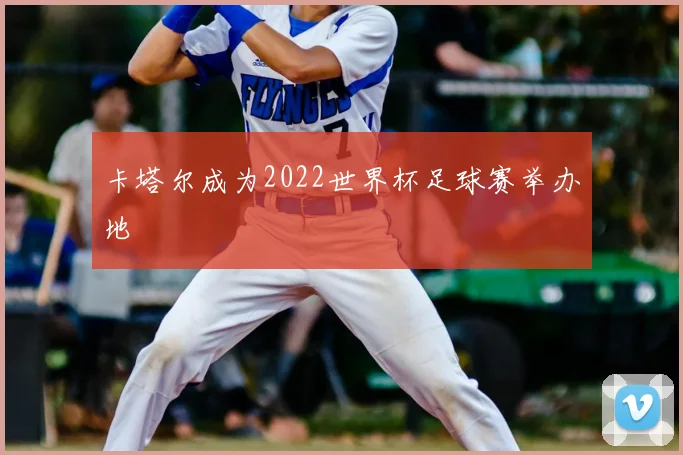 卡塔尔成为2022世界杯足球赛举办地