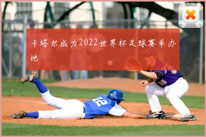 卡塔尔成为2022世界杯足球赛举办地