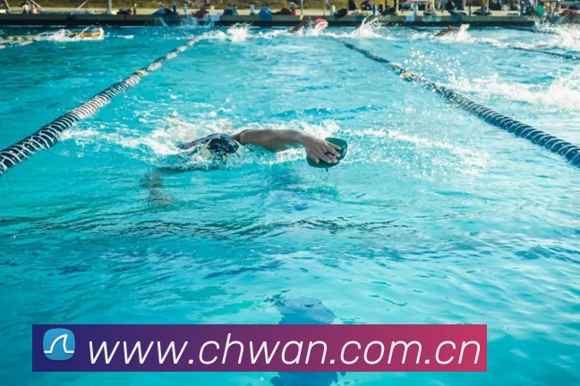 App Interface Preview